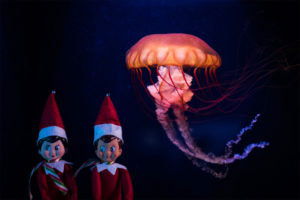 Elves with Sea jelly