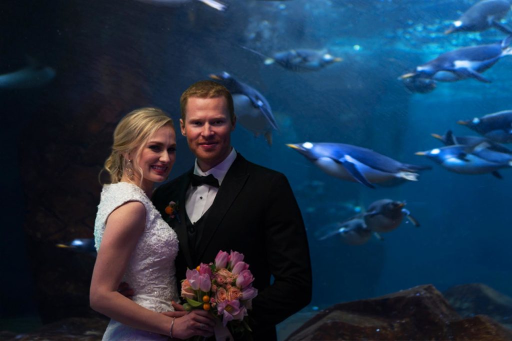 wedding venue at draper aquarium